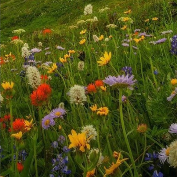 Meet your Posher, M - Picture 1 of 1